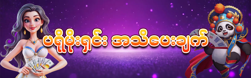 စလော့ပရိုမိုးရှင်း